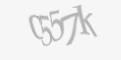 Защитный код
