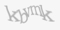 Защитный код